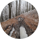 János Balajthy profile picture